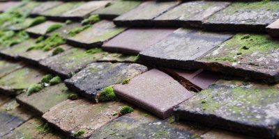 Berkeley roof repair costs